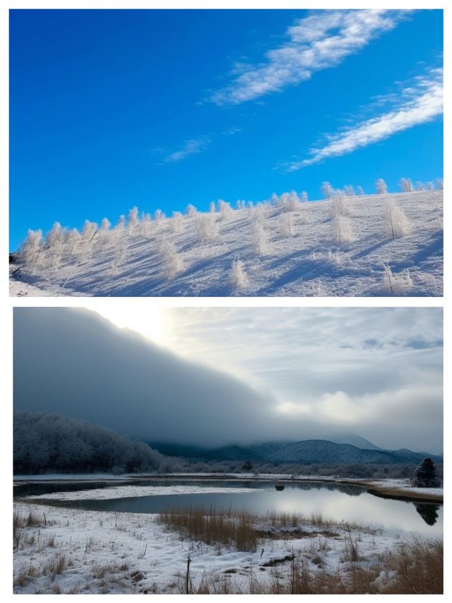 冬季神農架～白雪覆蓋的仙境