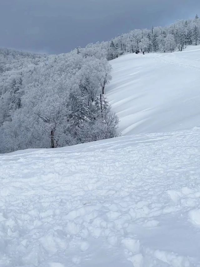 哈爾濱雪谷霧凇嶺絕美日落！！ 不虛此行