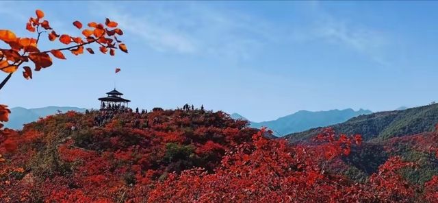 故事已聞名，山中景更美-王屋山