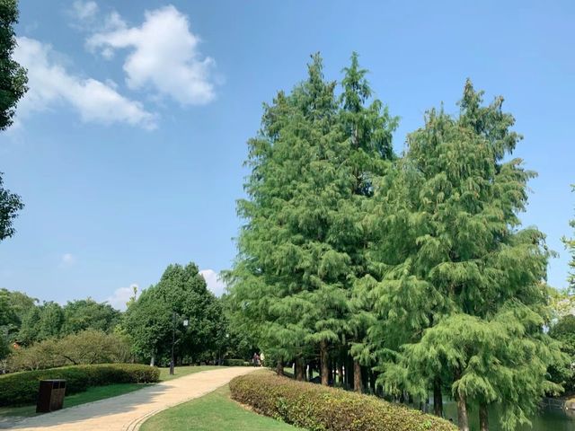 今日份良渚遛娃|美麗洲公園也太美了吧