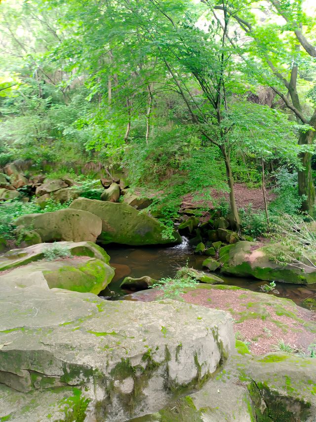 九華天池旅遊景區丨天河掛綠水 秀出九芙蓉