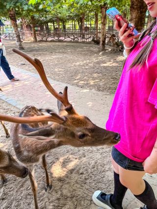 Tours around Zhengzhou | Bring your kids here during the National Day holiday, no more crowded places!