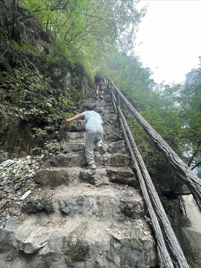 雲蒙山皇家森林公園徒步