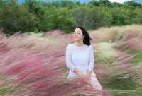粉色深圳 | 7000m粉黛花海，浪漫秋日童話