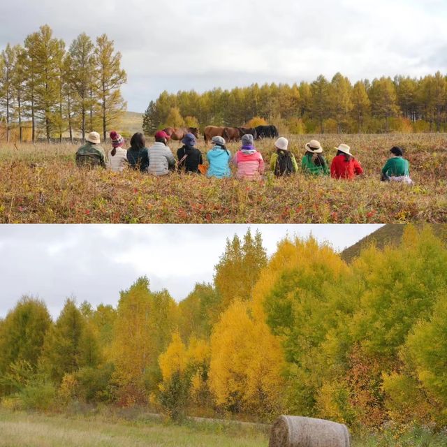 強烈建議！這個國慶一定要去大興安嶺和漠河