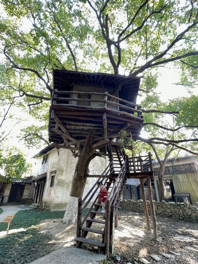 剛回來烏鎮親子遊一定要住隔壁的烏村