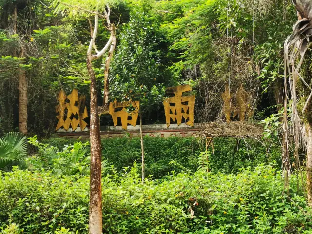 Xinglong Overseas Chinese Town, experience the tropical rainforest