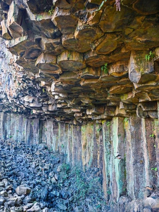 沒想到寧波居然有4處古火山遺跡奇觀