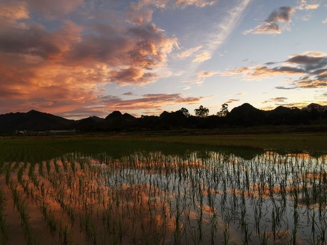 九嶷山上白雲飛,帝子乘風下翠微