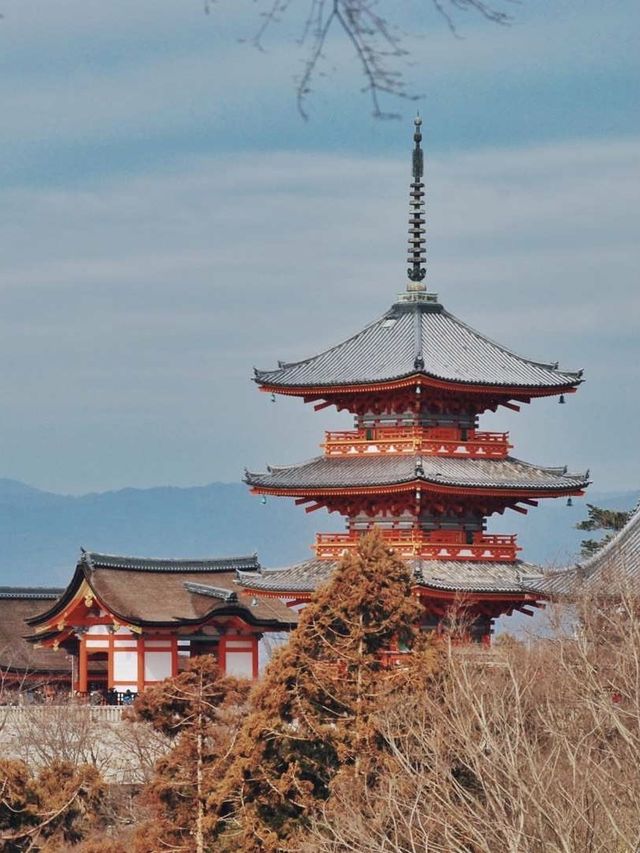 日本京都｜寺廟與神社並存的人文大城