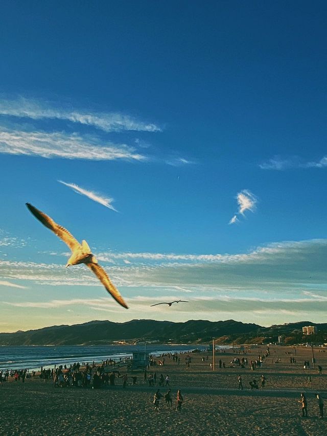 洛杉矶｜和閨蜜一起逛Santa Monica！最美夕陽！