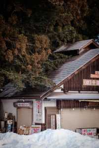 為了這座絕美神社，我在雪地中狂走2萬步