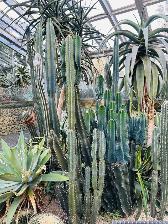 上海植物園溫室展