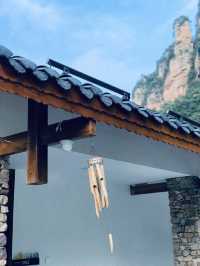霧裡觀陣山民宿