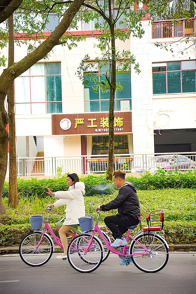 廣佛周邊遊 | 元旦假期就來白鷺湖