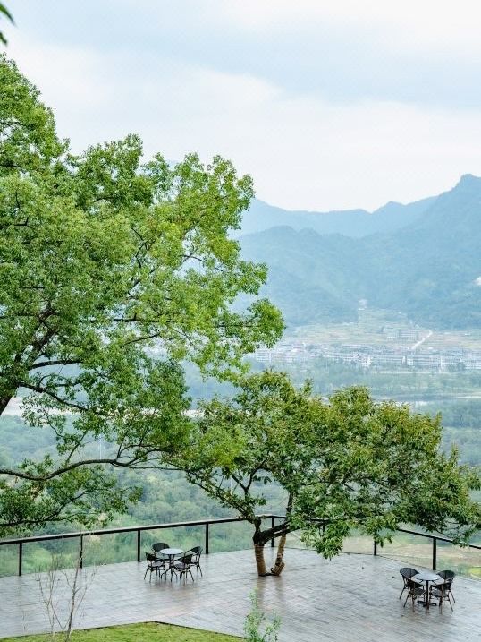 和朋友一起到永嘉！這家在山上的民宿太棒了