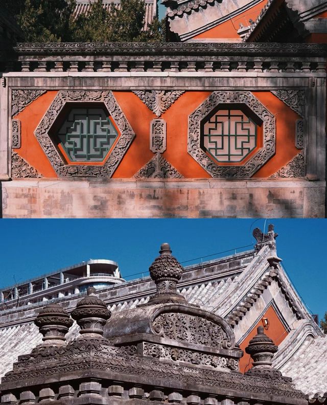 北京藝術博物館|觀古建賞玉蘭，太美了
