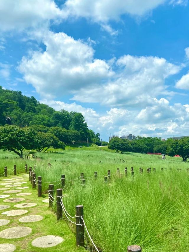 天啊，深圳已經達到了宮崎駿夏日的next level