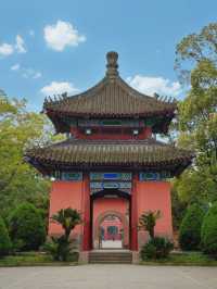 成都被嚴重低估的小眾寶藏公園沒想到這麼美