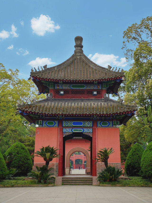 成都被嚴重低估的小眾寶藏公園沒想到這麼美
