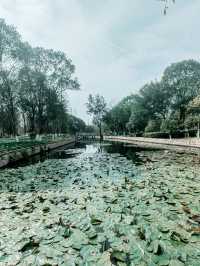 溫州河泥蕩文化公園，獨特的水鄉風情