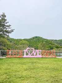 濟南近郊遊｜高顏值露營地&民宿