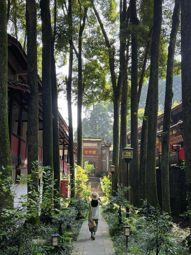 成都青城山！幾乎沒人知道的清涼徒步路線！