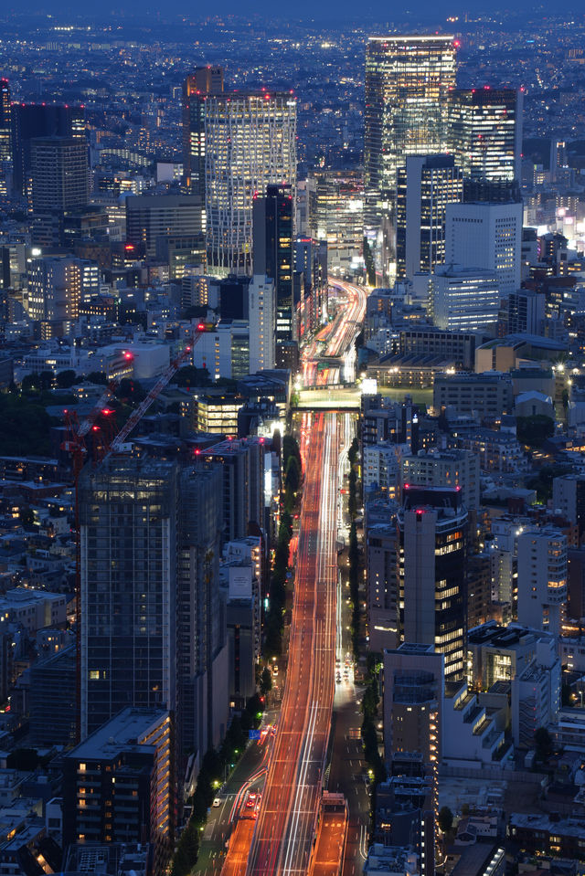 落日後的東京，就特別適合拍東京鐵塔