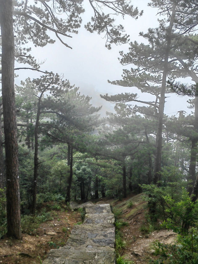 九江庐山｜來見庐山真面目