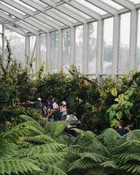 新加坡國立植物園 胡姬花園蘭花品種上千，稀有蝴蝶蘭