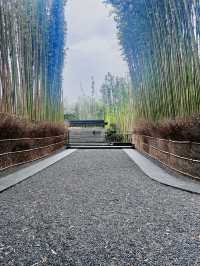 逃離城市計劃安靜避世療癒好去處