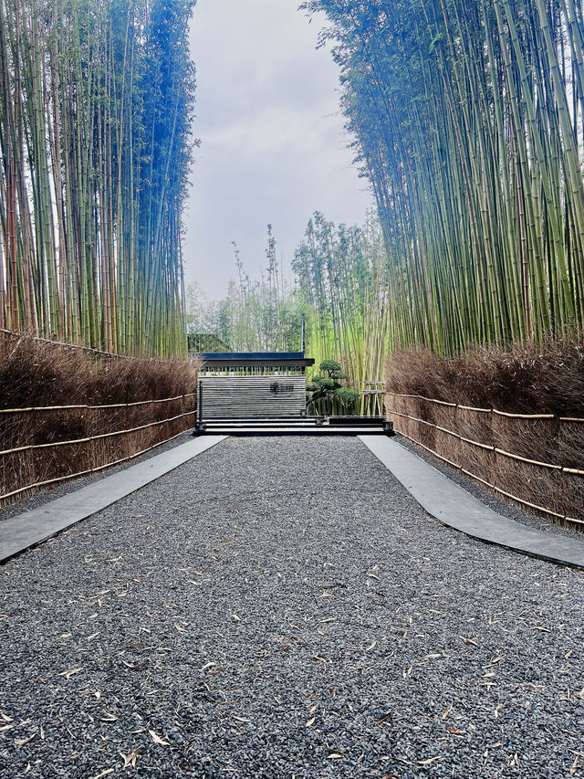 逃離城市計劃安靜避世療癒好去處