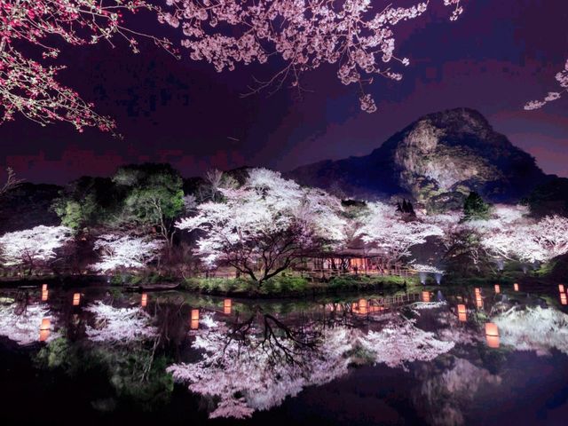 Mifuneyama Nature's Charm and Sakura