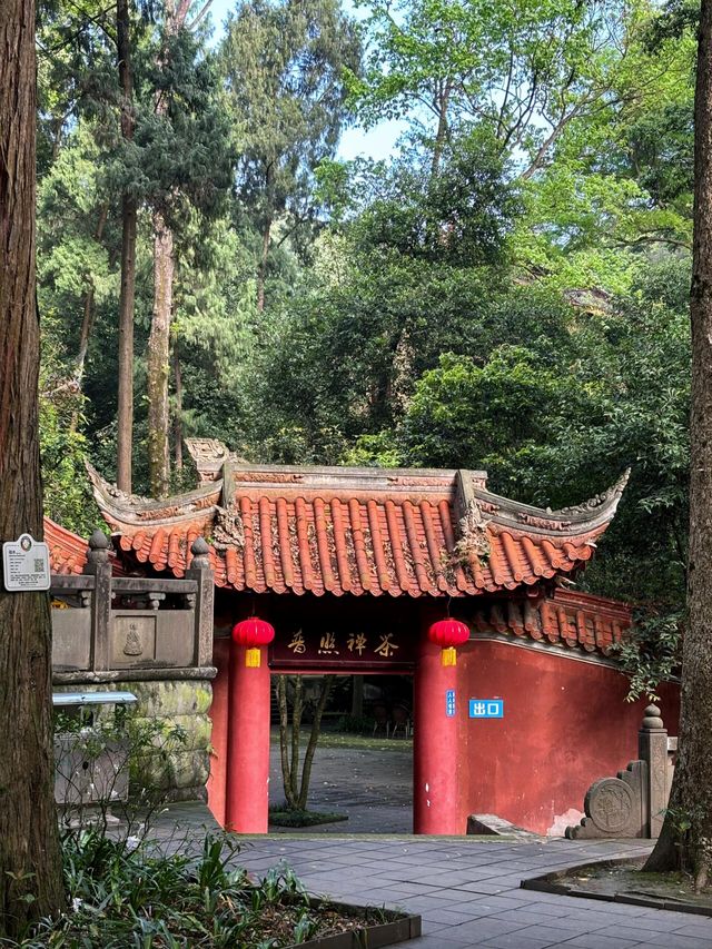 成都周邊1h直達，輕徒步+齋飯+喝茶