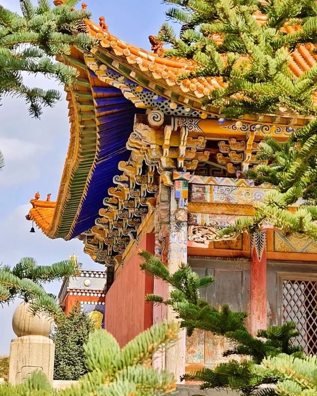 呼市免費小眾旅遊景點尊勝寺|||尊勝寺