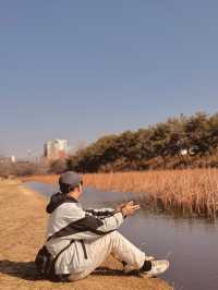 花開福岡 舞鶴公園裡的城市遺夢與春日綻放