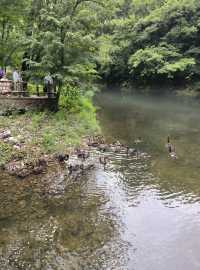 關門山國家森林公園
