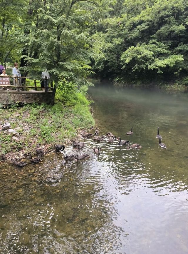 關門山國家森林公園