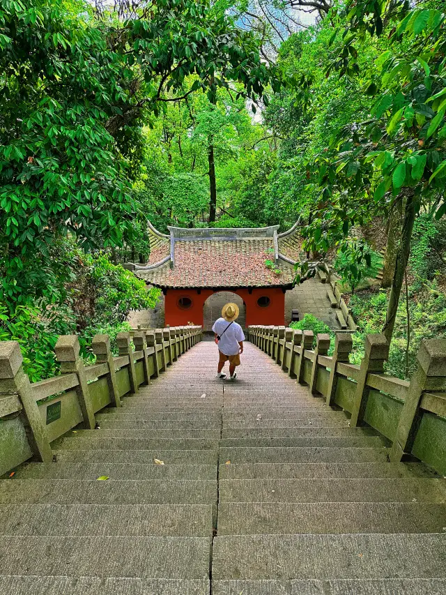 桐君山俯瞰半個桐廬｜“綠色潮汐”藏不住了