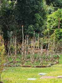 中國科學院西雙版納熱帶植物園