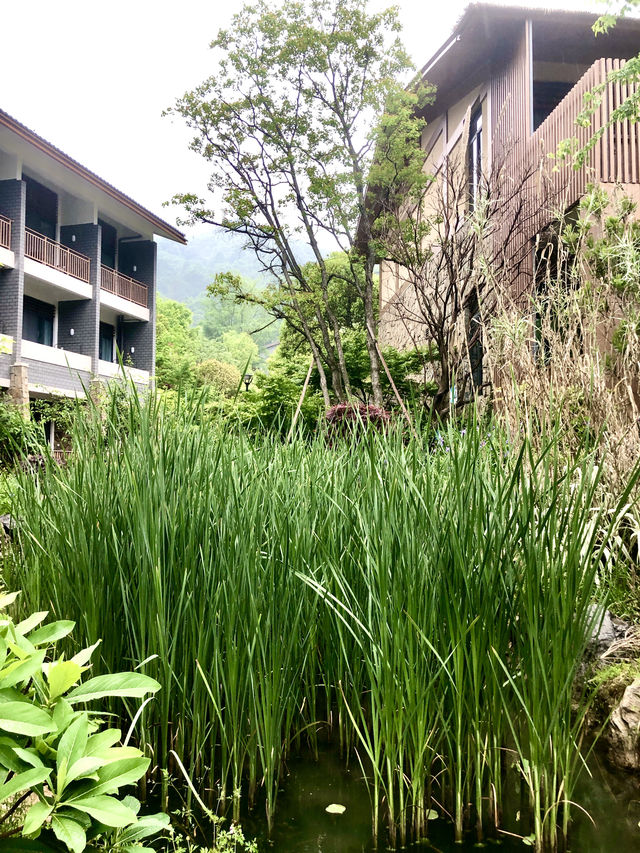 隨州大洪山風景區——自在谷酒店