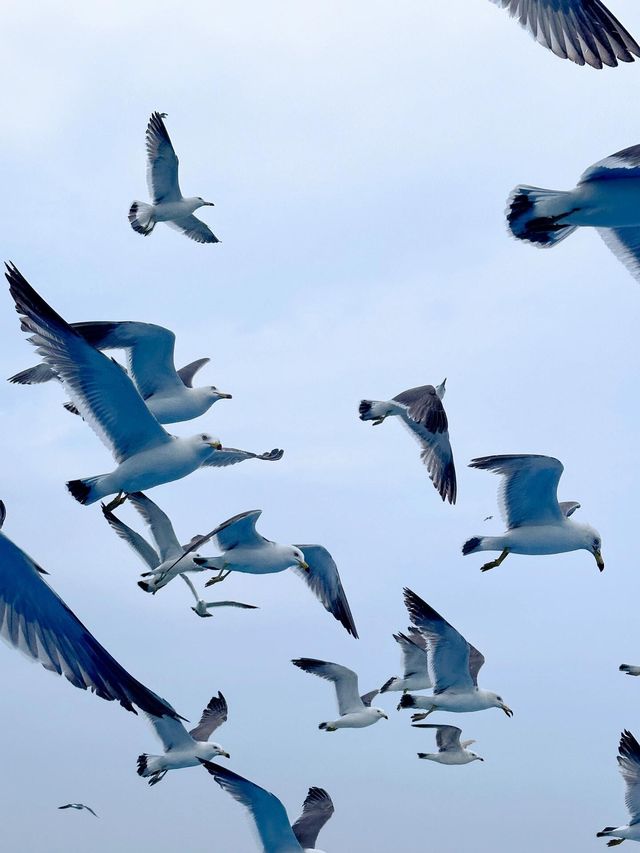 榮城｜親子遊絕不能錯過的寶藏海邊