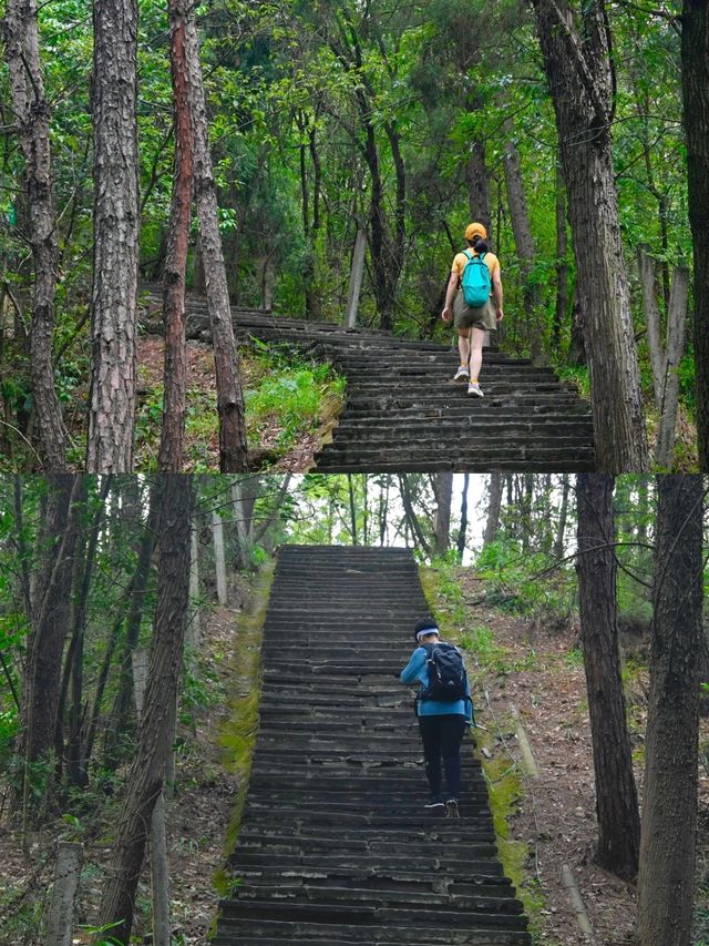 龍泉山裡一個人都可去的登山步道