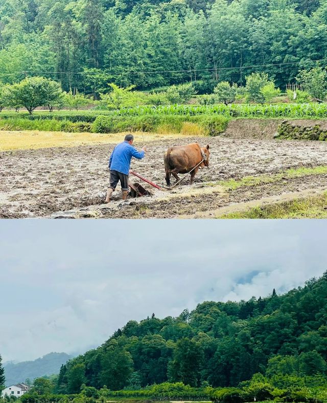 駱家壩，等你來探尋