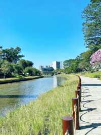 我宣布！ 大沙河生態公園是深圳公園的天花板！