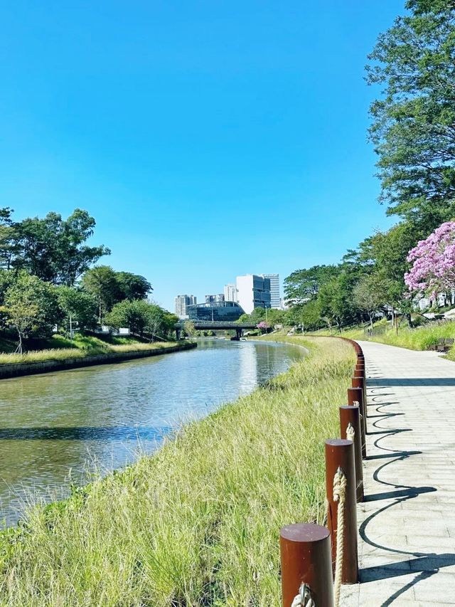 我宣布！ 大沙河生態公園是深圳公園的天花板！
