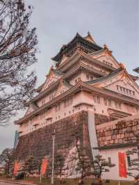 日本包車旅遊去古都+東京+富士山玩7天。