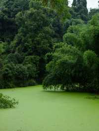 蒲江雲頂水鄉兩天一夜怎麼玩兒
