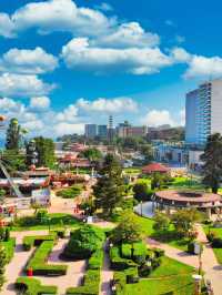 🌟 Varna's Luxe Getaway: Beachfront Bliss & Casino Nights 🎰🌊