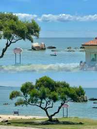 一到廈門就飛奔這裡!美絕了!!